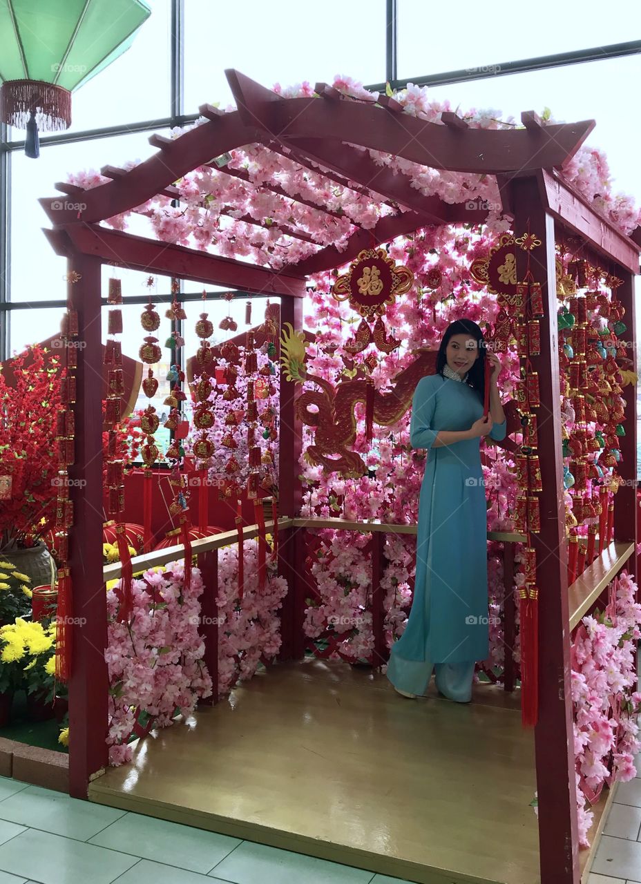 Chinese Luna Year Of The Dog Celebrations 