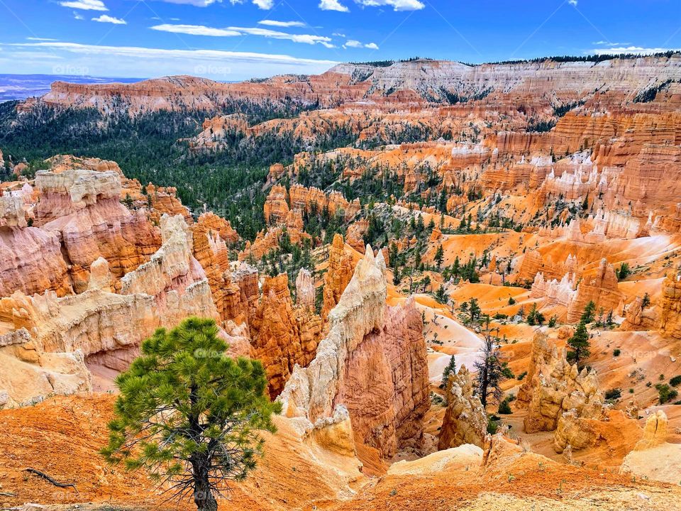 Bryce Canyon 