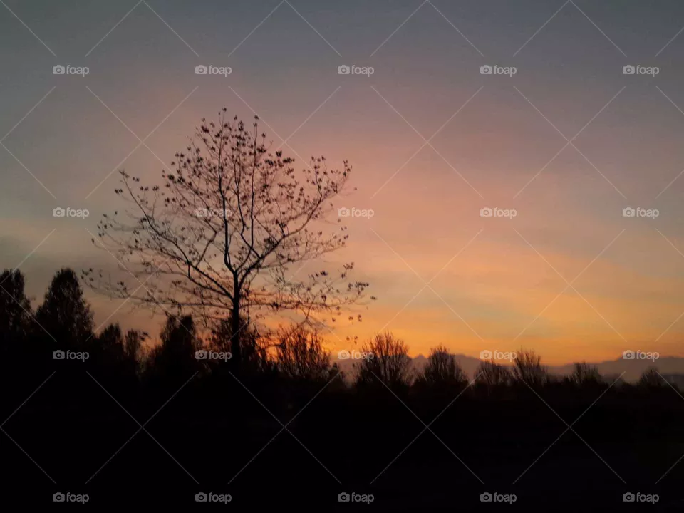 red sky