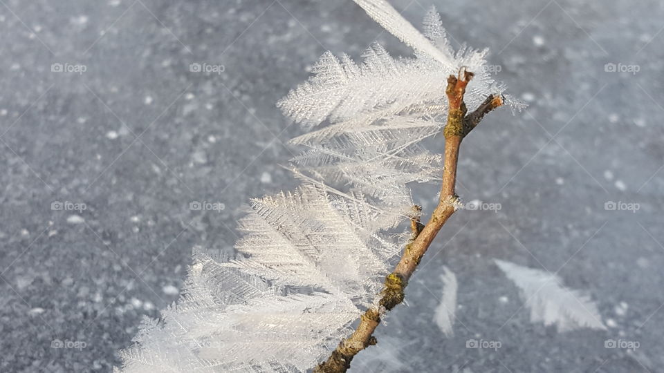 Ice feathers