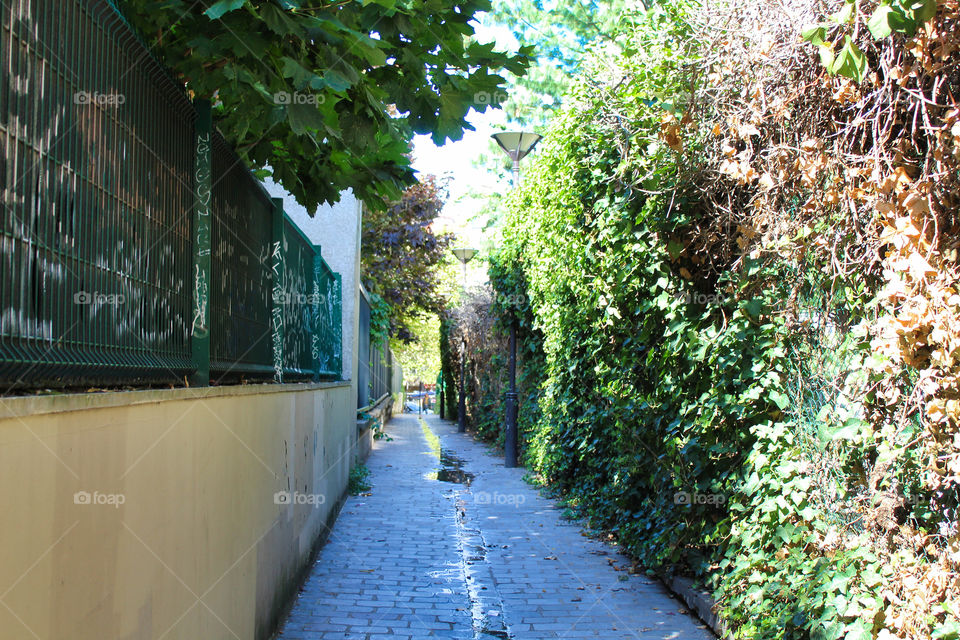 alley in the city in paris france