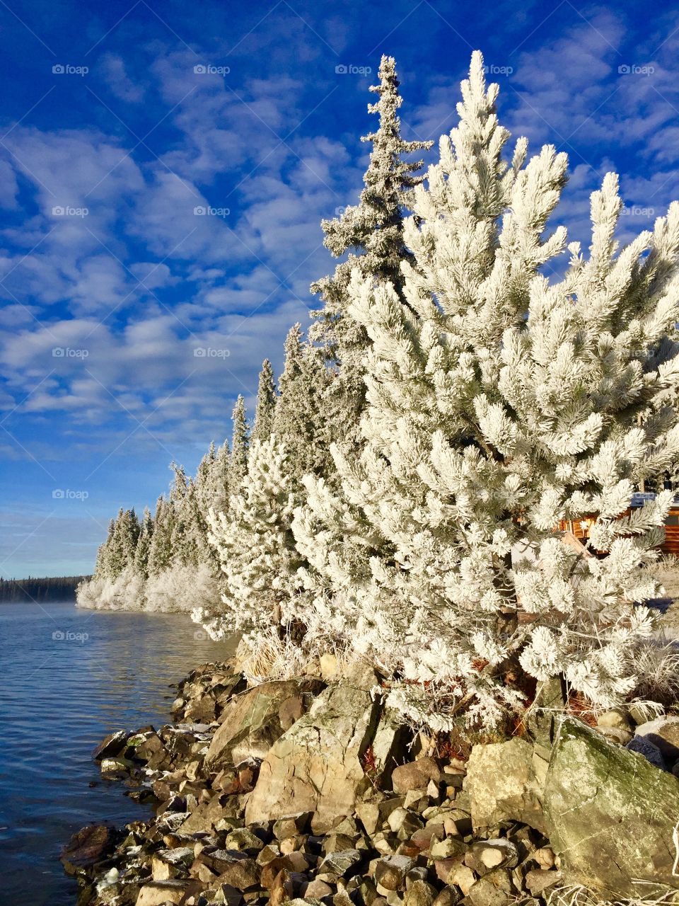 Hoar frost hits the lakeshore as temps drop below zero. Makes for a stunning scene in the wilderness. 