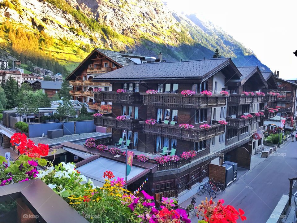Colourful geranium flowers and wooden cottages in Zermatt, Switzerland 
