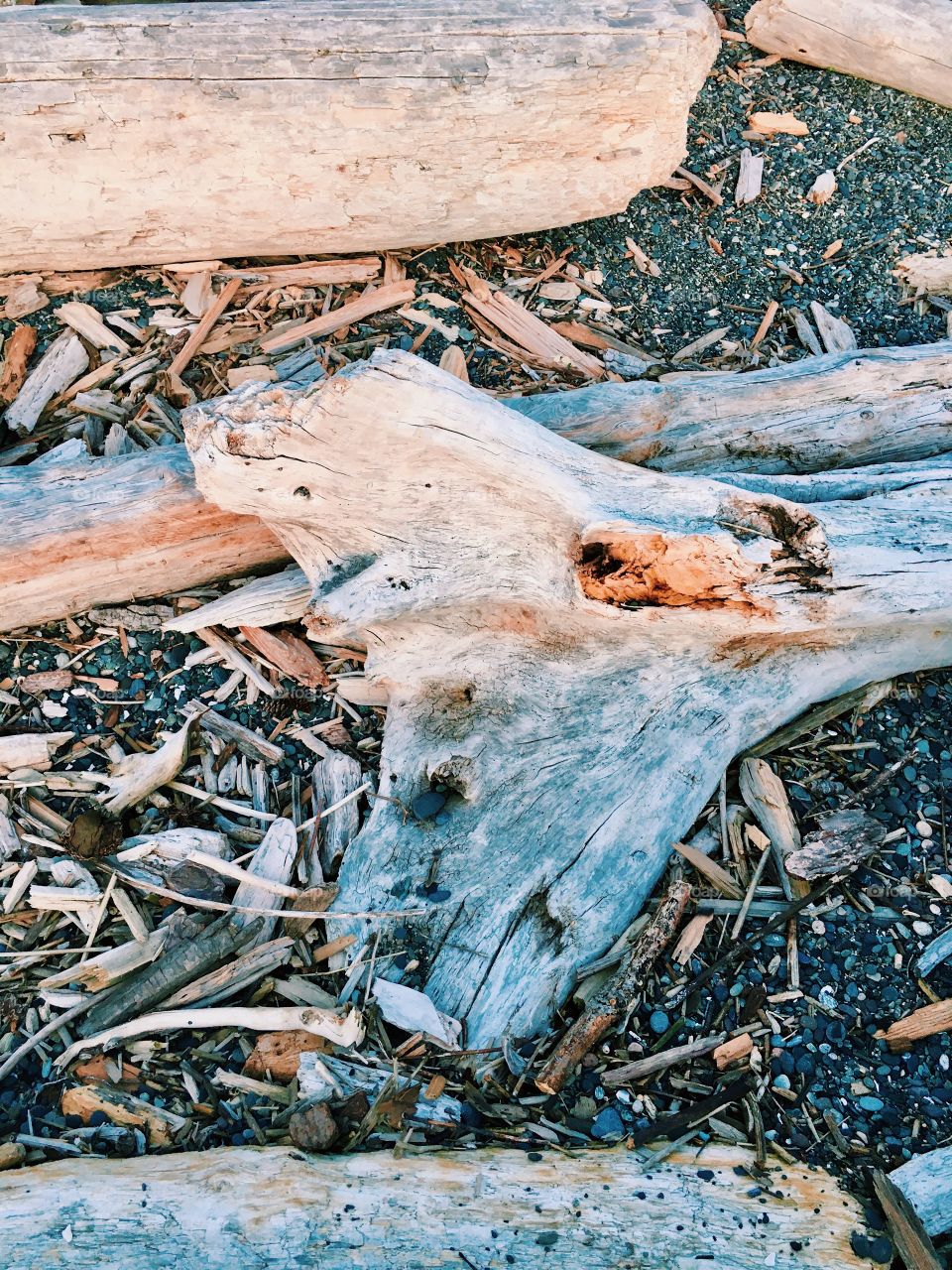 Driftwood during a sunset