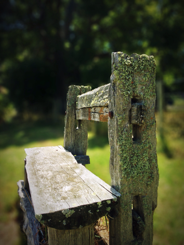 wood
