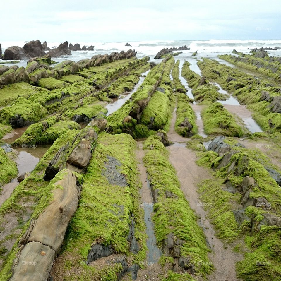 Barrika 