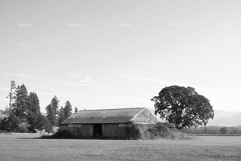 An old weathered barn in the fields in the rural countryside of Oregon.