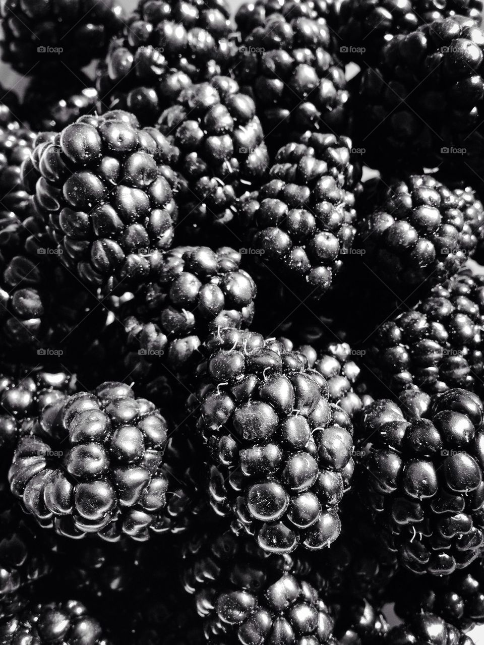 BlackBerries