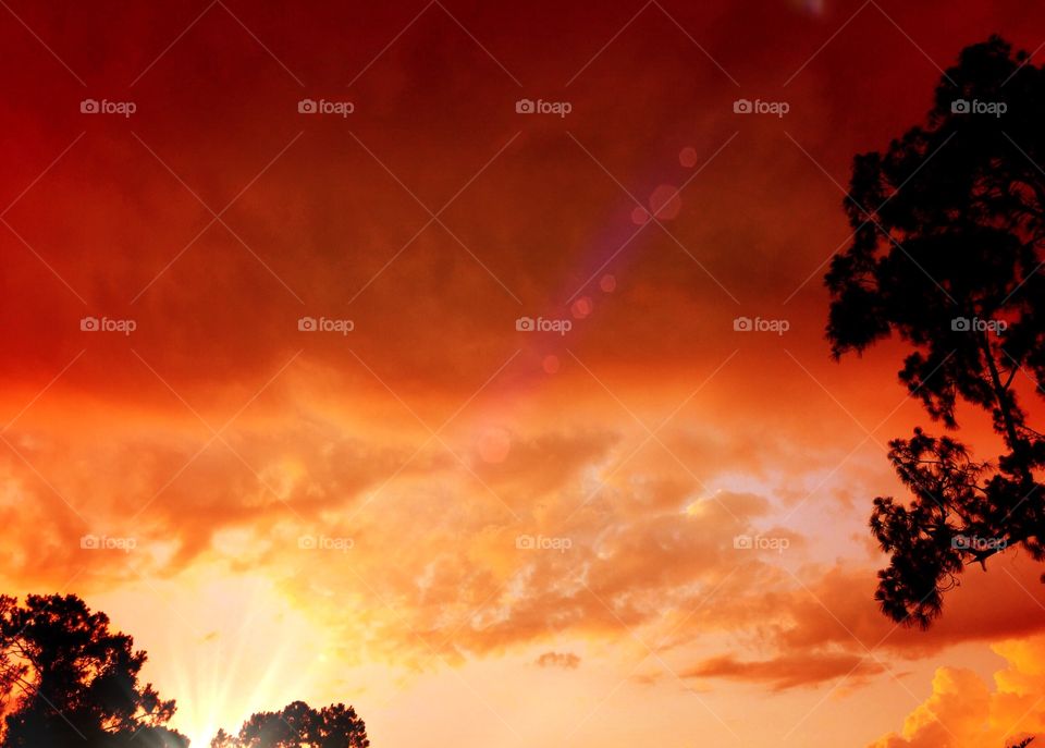 Orange red sunset. Orange red sunset