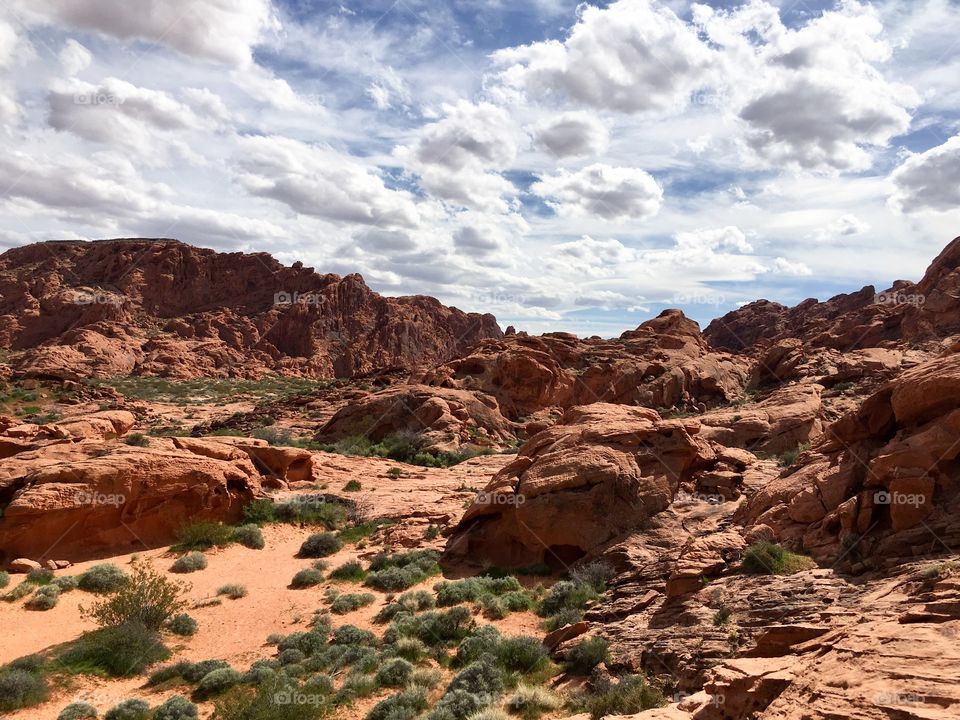 Desert landscapes 