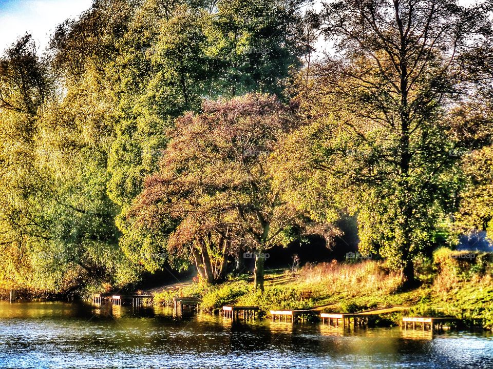 Lake. Nature reserve 