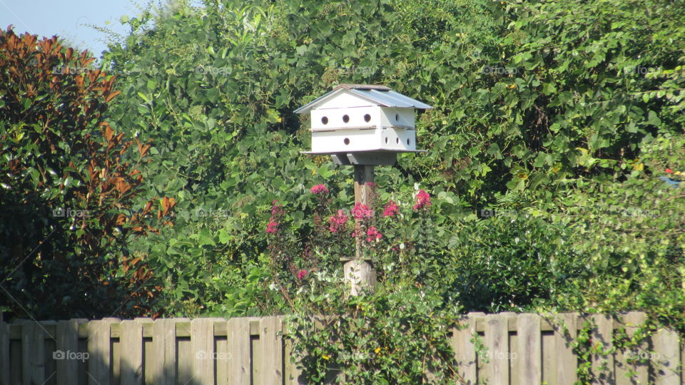 Birdhouse over a picket fence