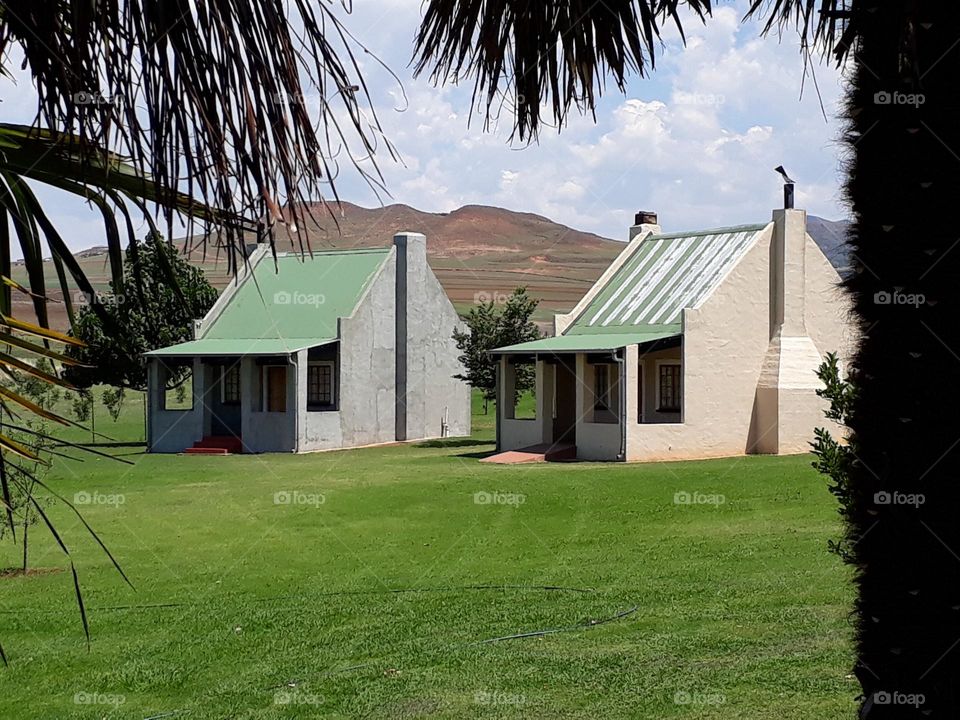 On farm in the Drakensberg.