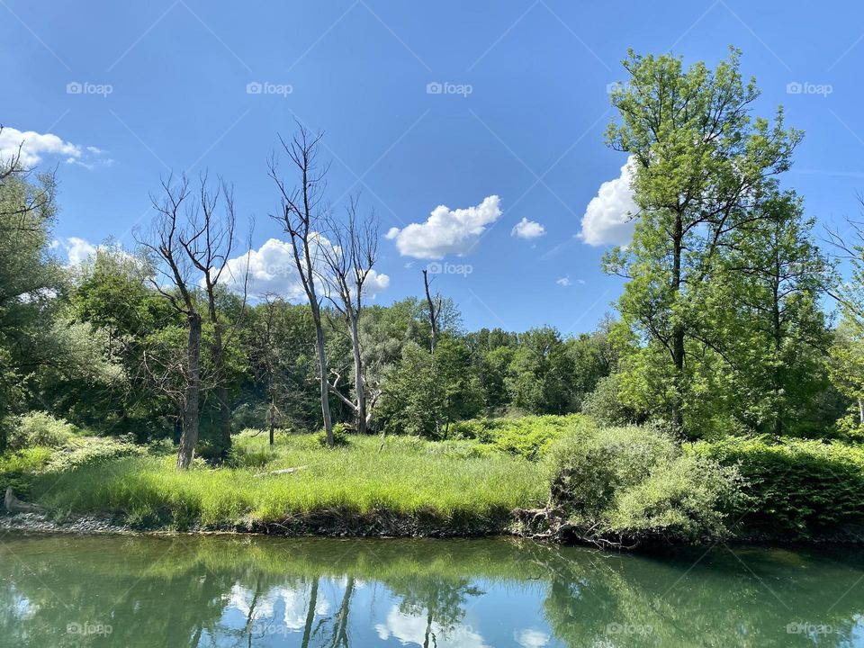 water landscape grass and clouds