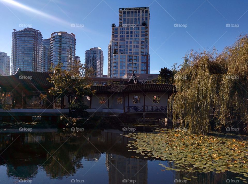 Beautiful Chinese Garden in the Heart of Vancouver