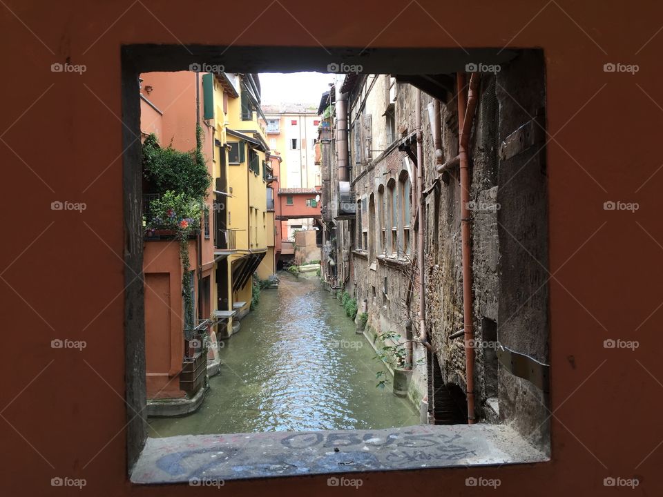 The Secret window from Bologna. the secret window from Bologna