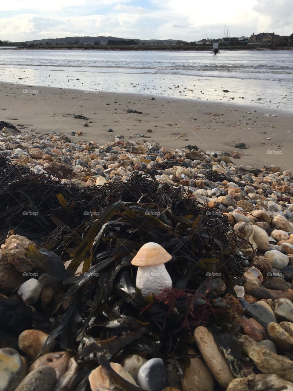 Seaside - Isle of Wight