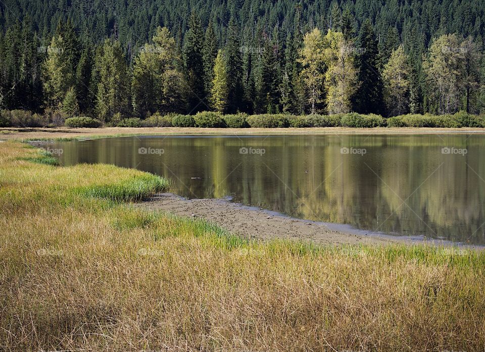 Lost Lake off of the Santiam Pass in Oregon’s mountains with multicolored trees reflecting in its waters on a beautiful sunny fall day.