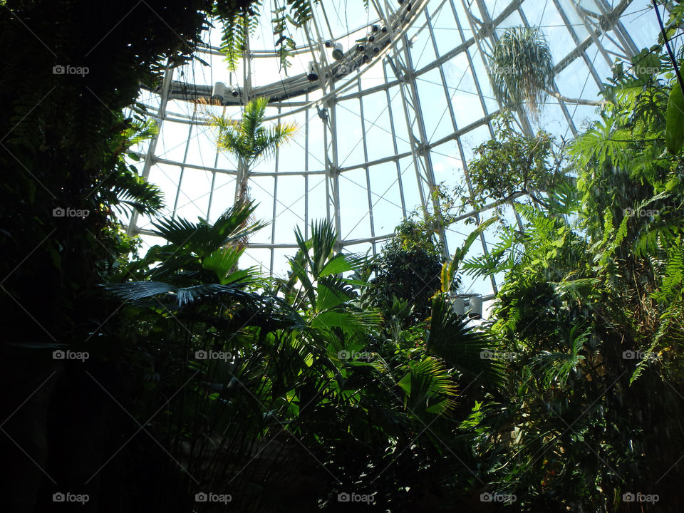 Cockrell Butterfly Center