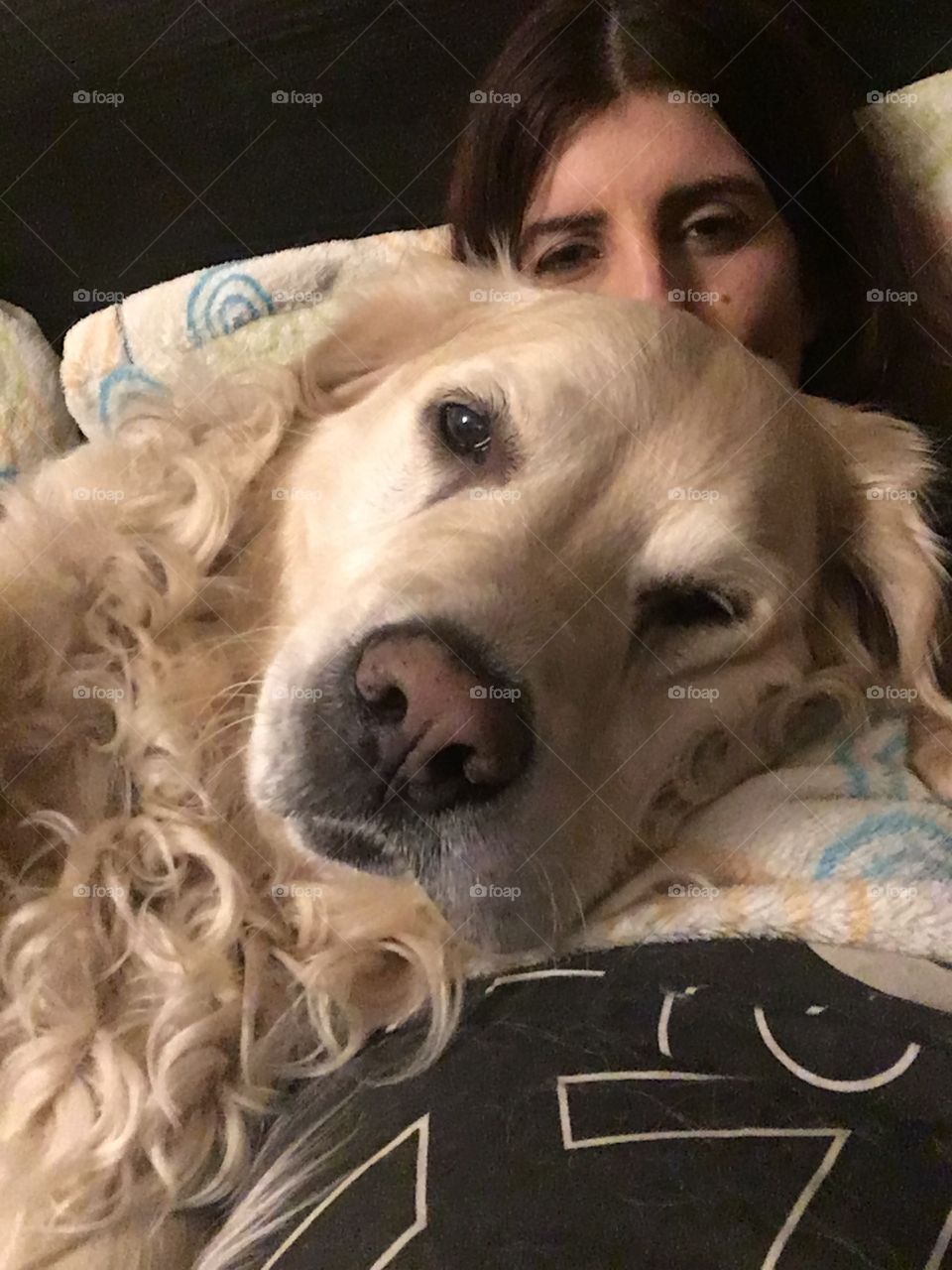 Dog, Canine, Pet, Cute, Portrait