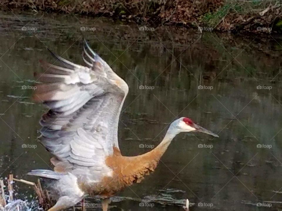 Driving the back Roads and enjoying everything around us