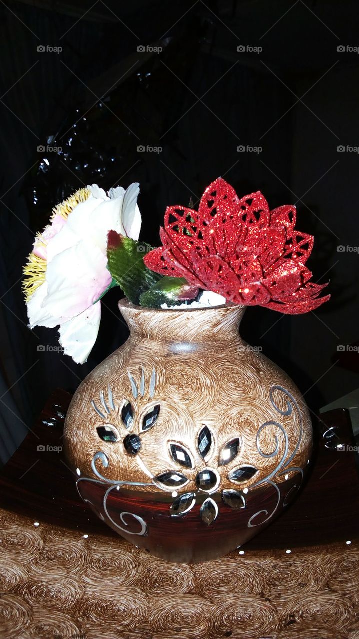 potted indoor flower