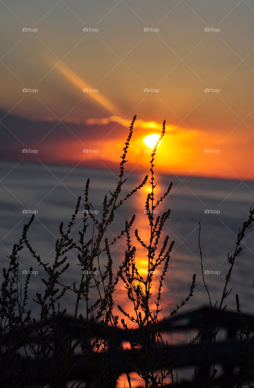 silhouette during sunrise