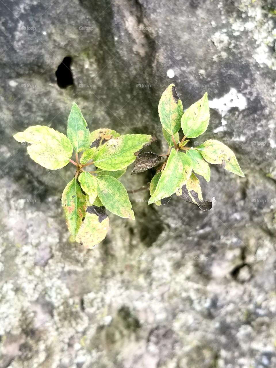 Break on through to the other side