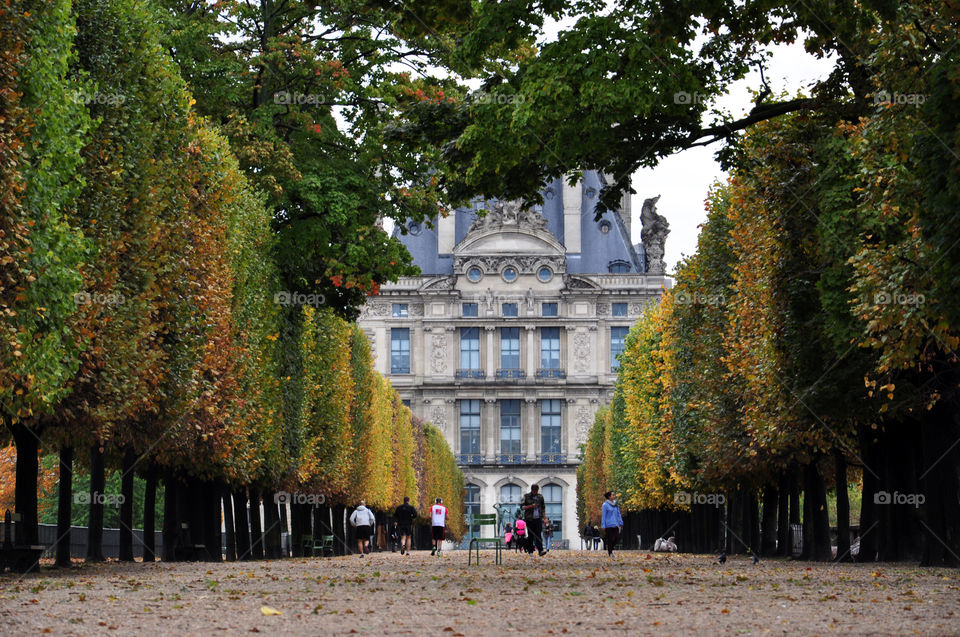 Autumn park in Paris 