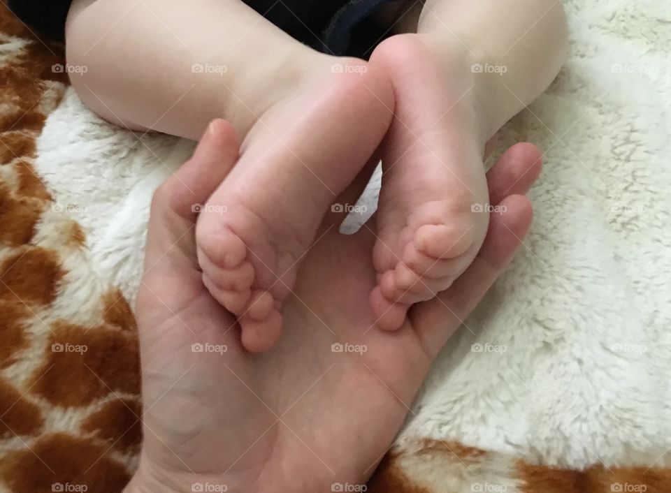 Feet 