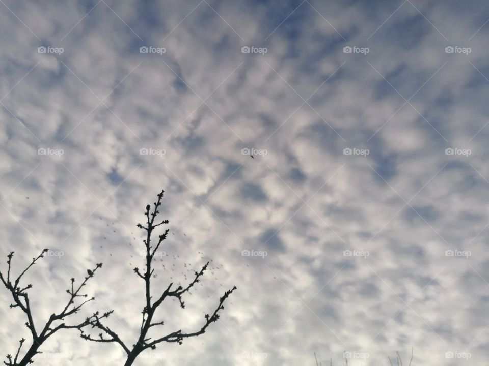 Autumn view of the sky