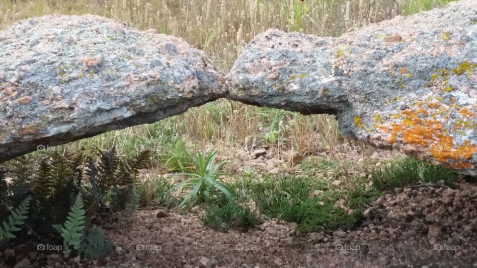 Kissing Rocks