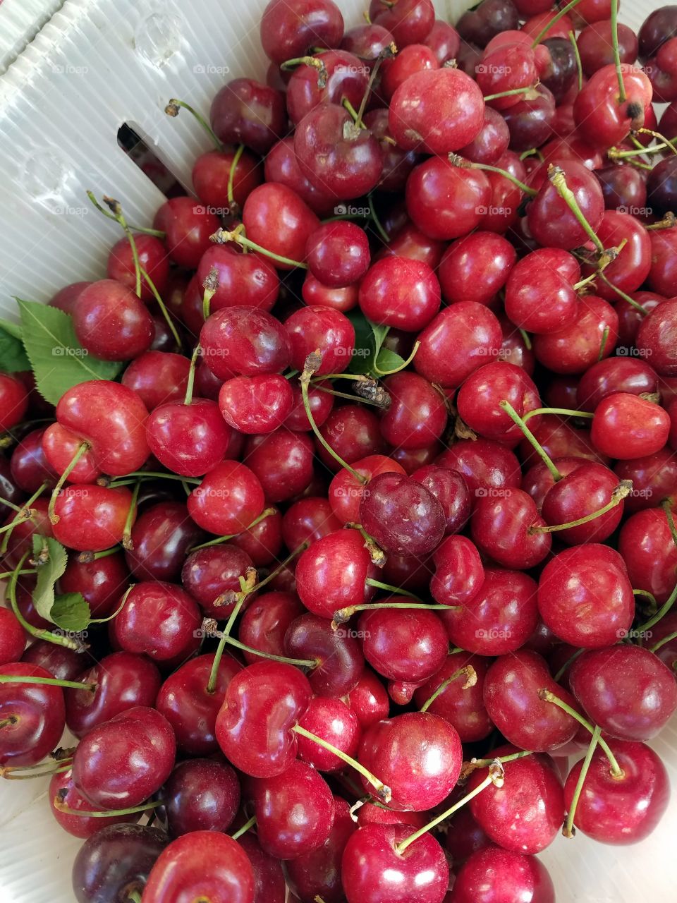 cherries closeup