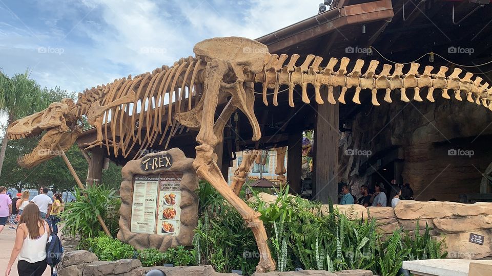 #day123 Everyday WDW Orlando Florida. I have been lost on Disney Properties consecutively since 4/3/19 You can find my encounter https://www.facebook.com/selsa.susanna or on IG selsa_susanna Disney’s Blizzard Beach closed 8-3-19 Saturday