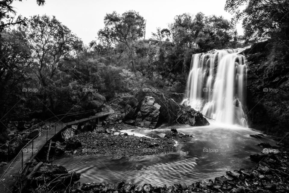 Black and white cascade and path