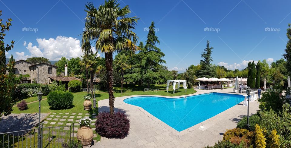 Nice garden and pool