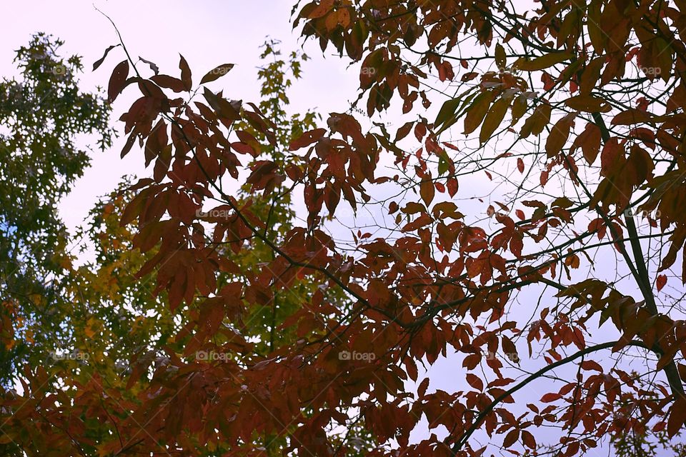 Fall has arrived in the Kentucky mountains 