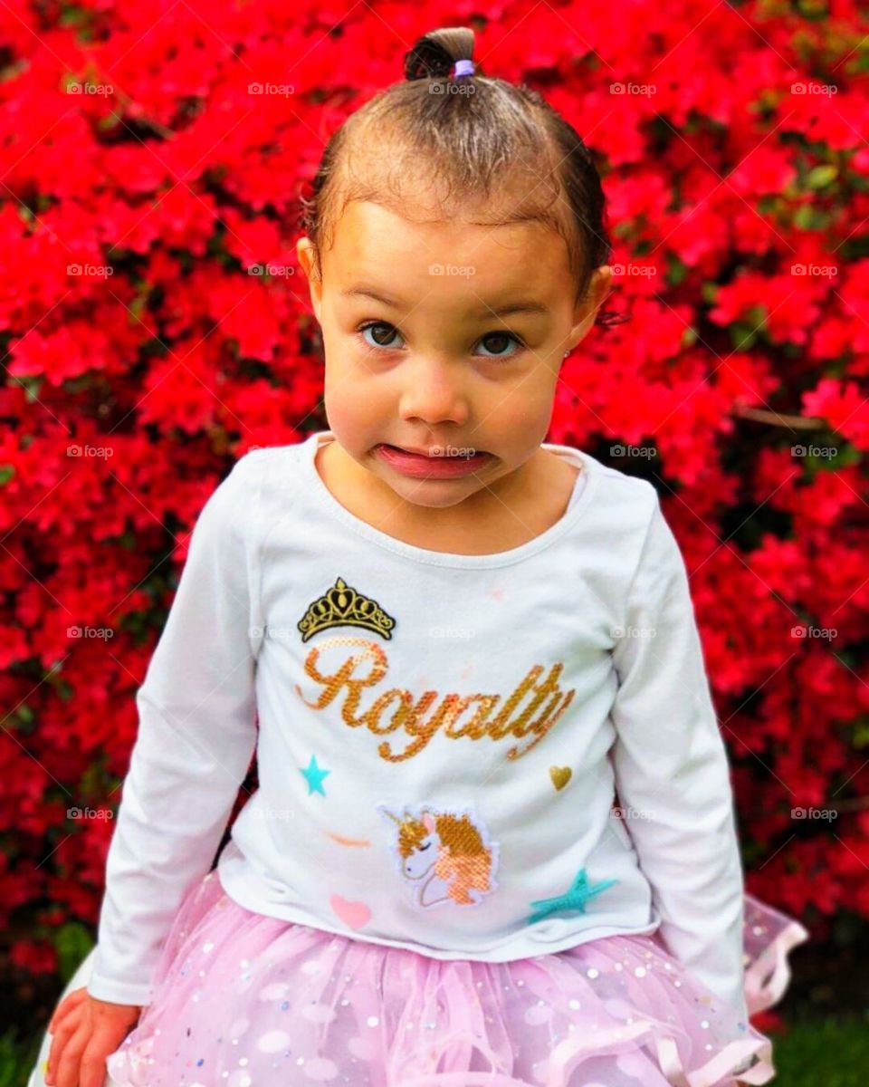 I was planning on going to the Royal Wedding! I am not invited!???