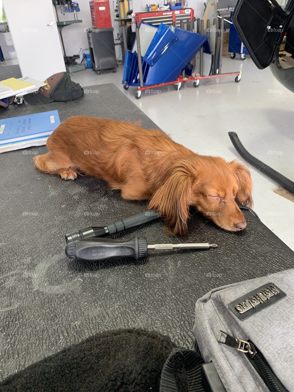 Sleeping on the job 😂