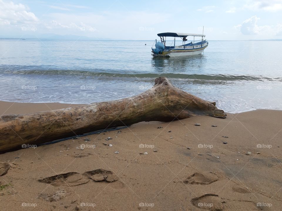 Nature view of a boat and fallen trunk on the sandy beach