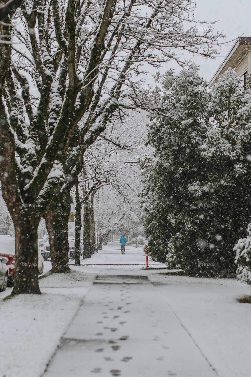 Frozen path