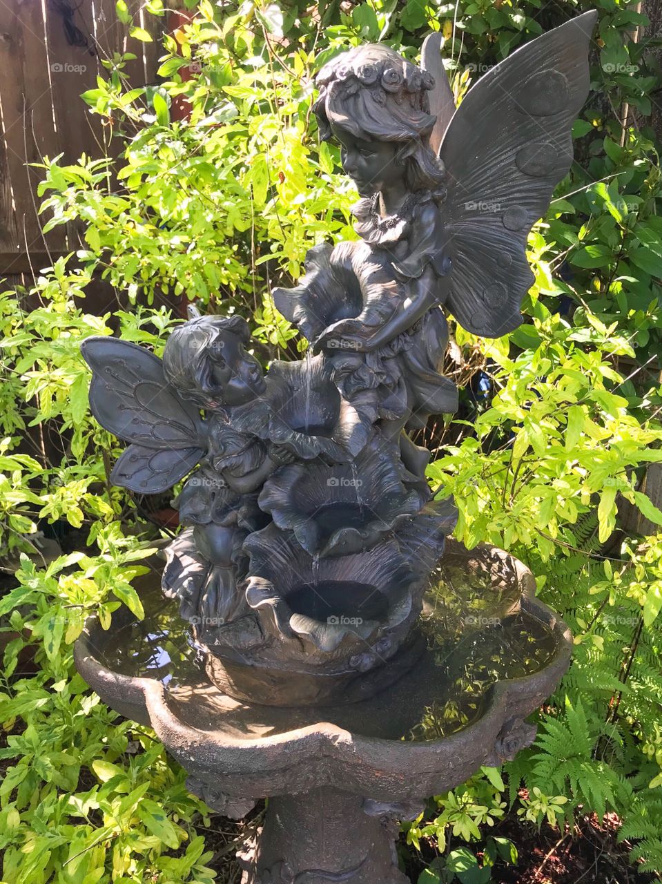 “Garden Fairies” Morning sun shines on a fairy fountain nestled amongst bushes and ferns in the garden.