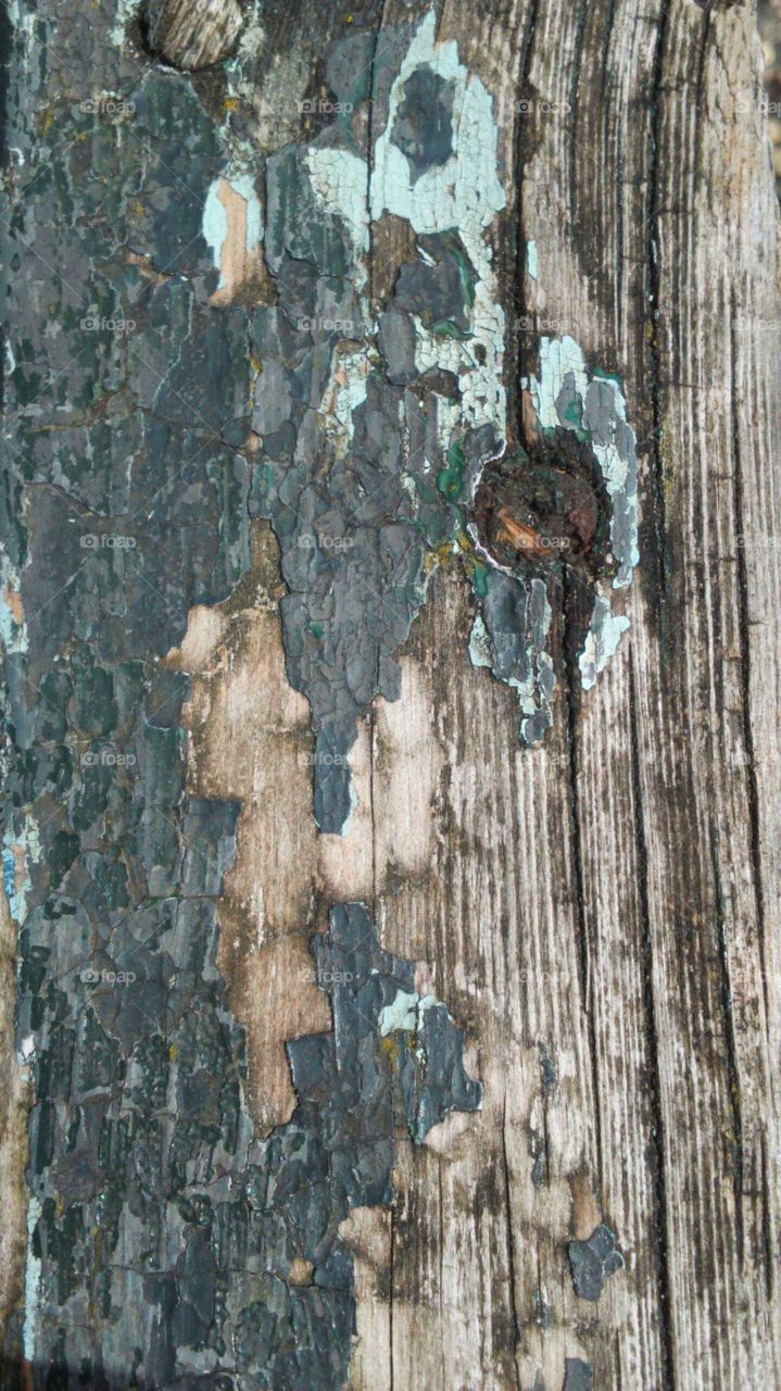 peeling paint on wooden bench with a rusty bolt.