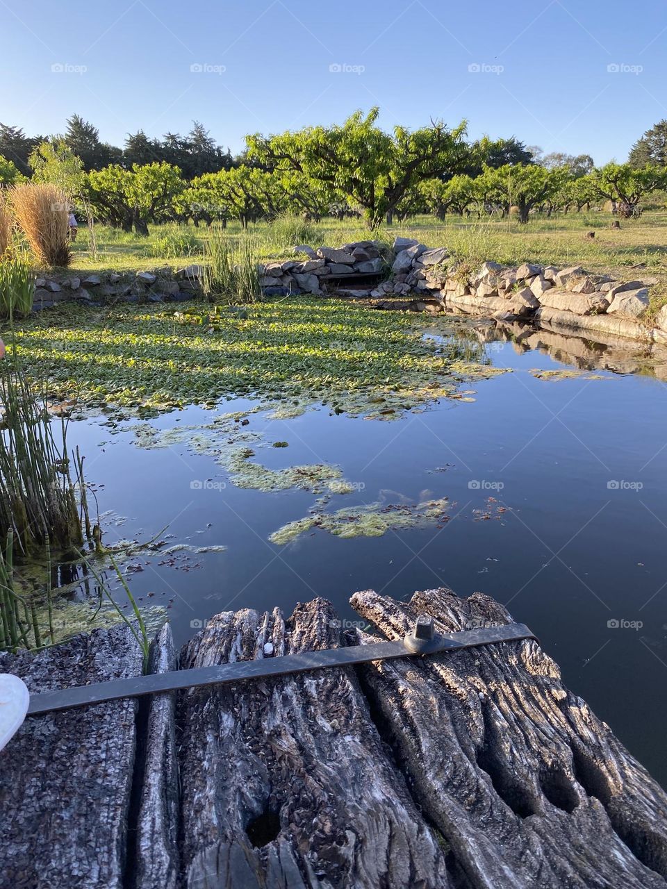 Un lugar para meditar 