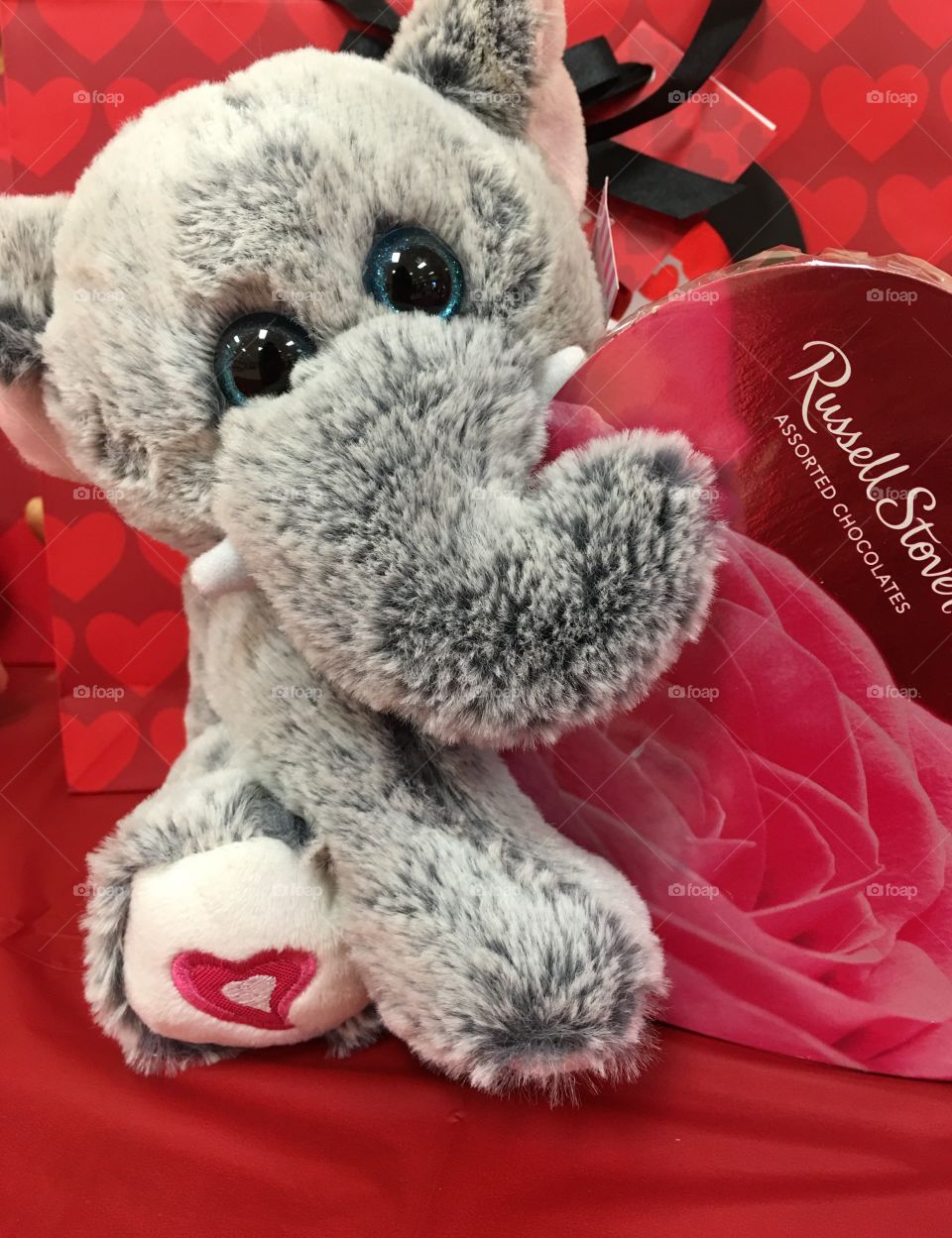 Happy Valentine's Day 