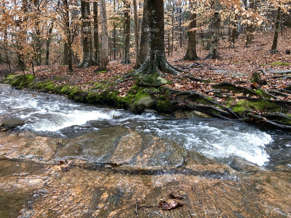 Stream in the fall