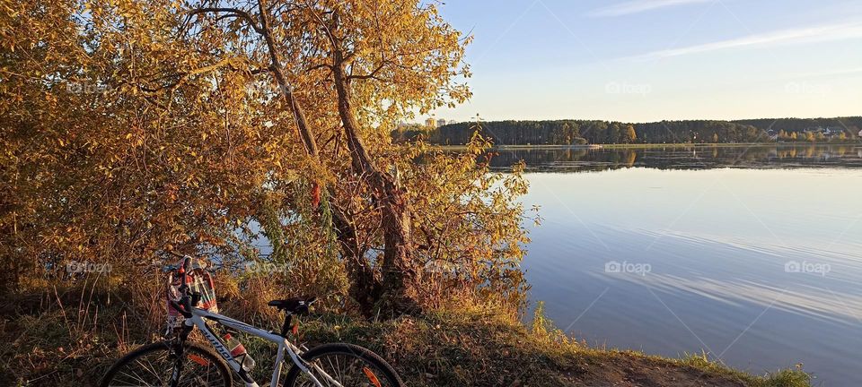 autumn beautiful golden landscape lake shore and bike