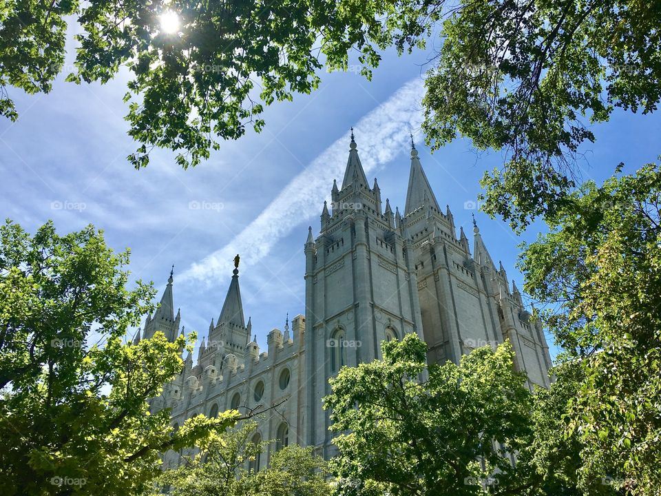 Perfect view. Tree framing. Spiral. Temple. Perfect blue sky. LDS. Mormon. Utah. Salt Lake City. Heavenly. Beautiful. Rare. Old. Pioneers.
