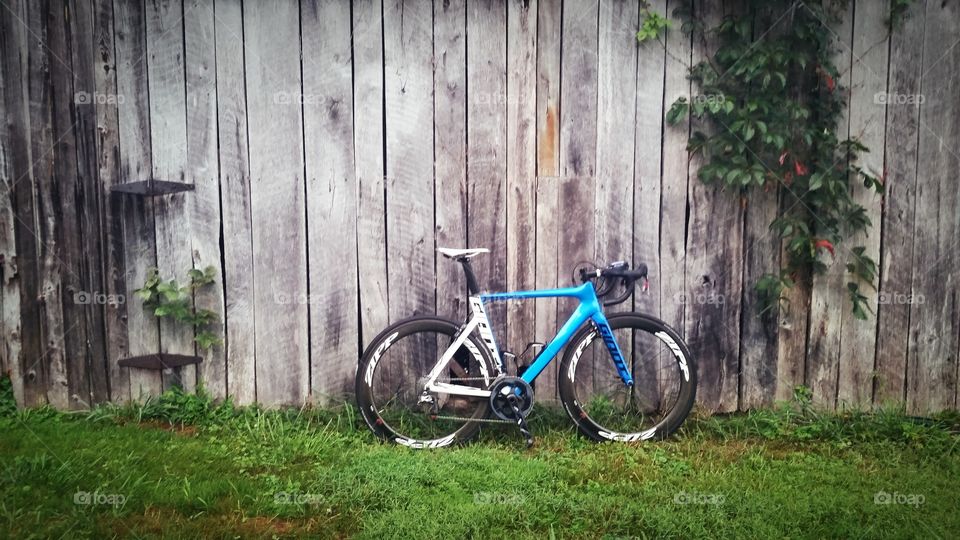 Giant Propel Advanced Pro