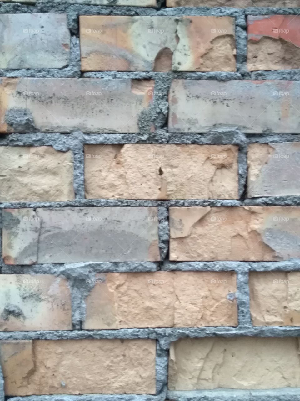 Fragment of brick wall.